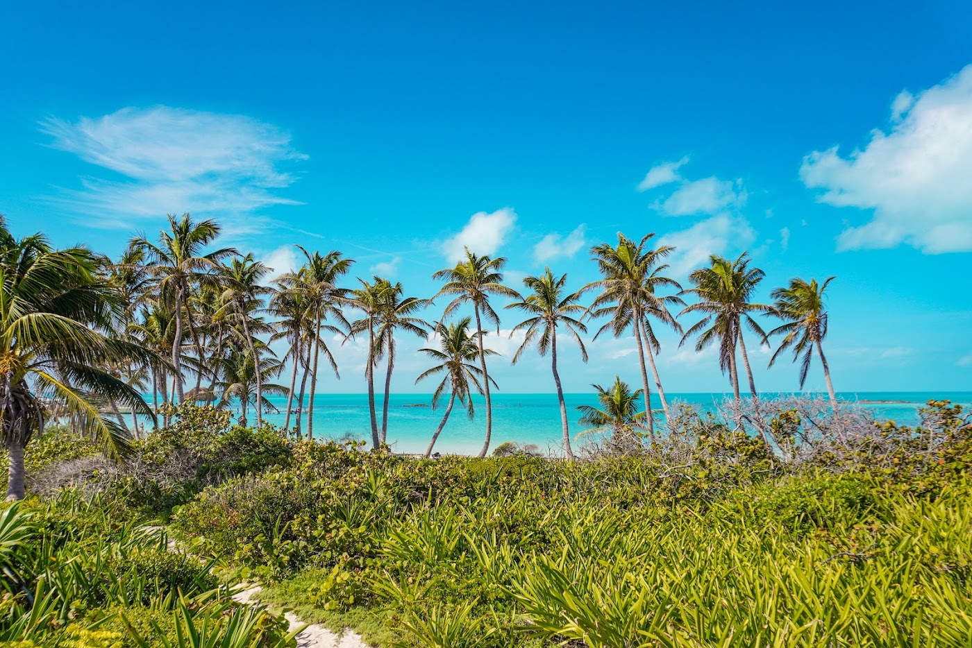 Isla Contoy, Cancún