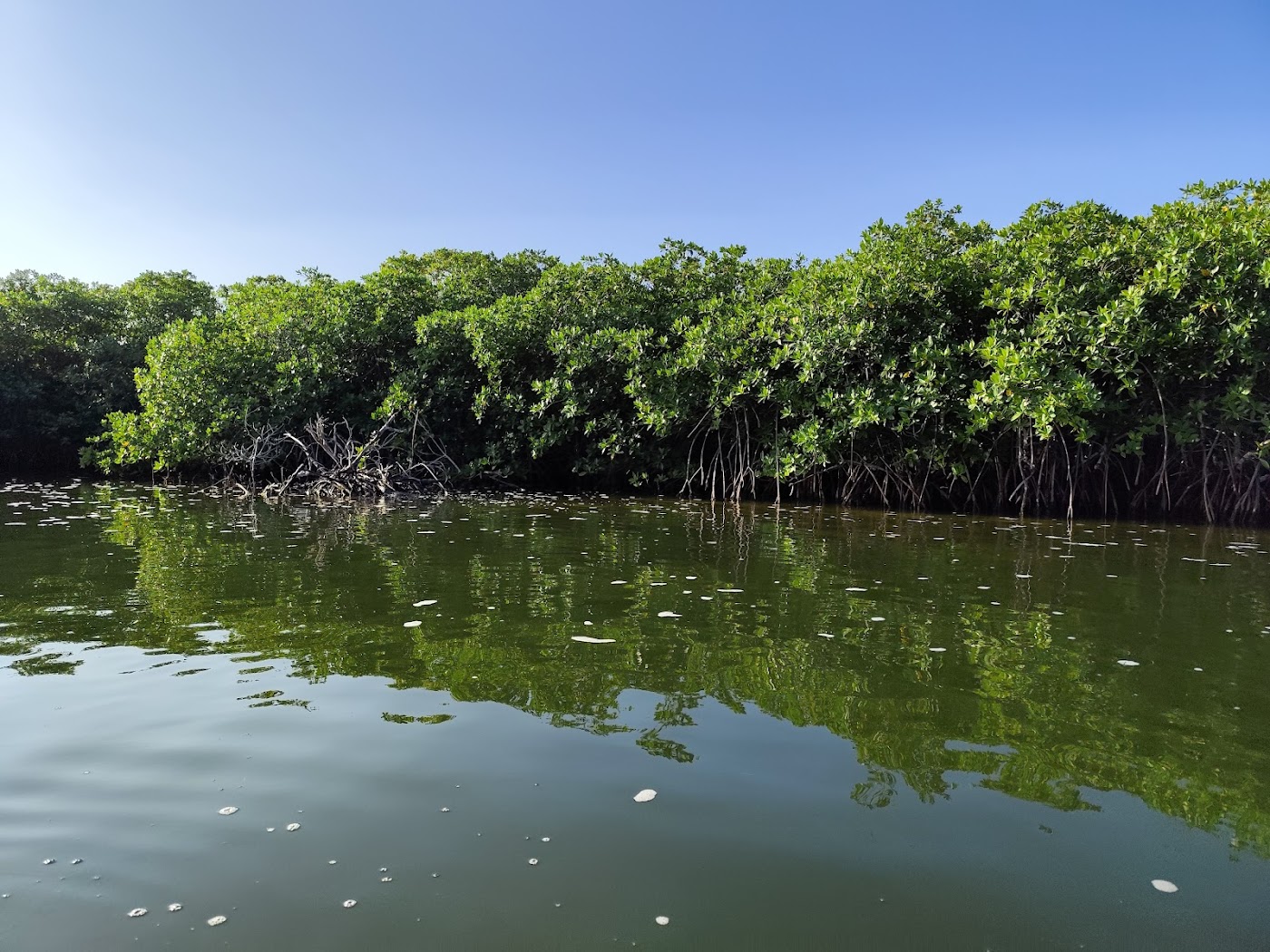 Laguna Nichupté, Cancún