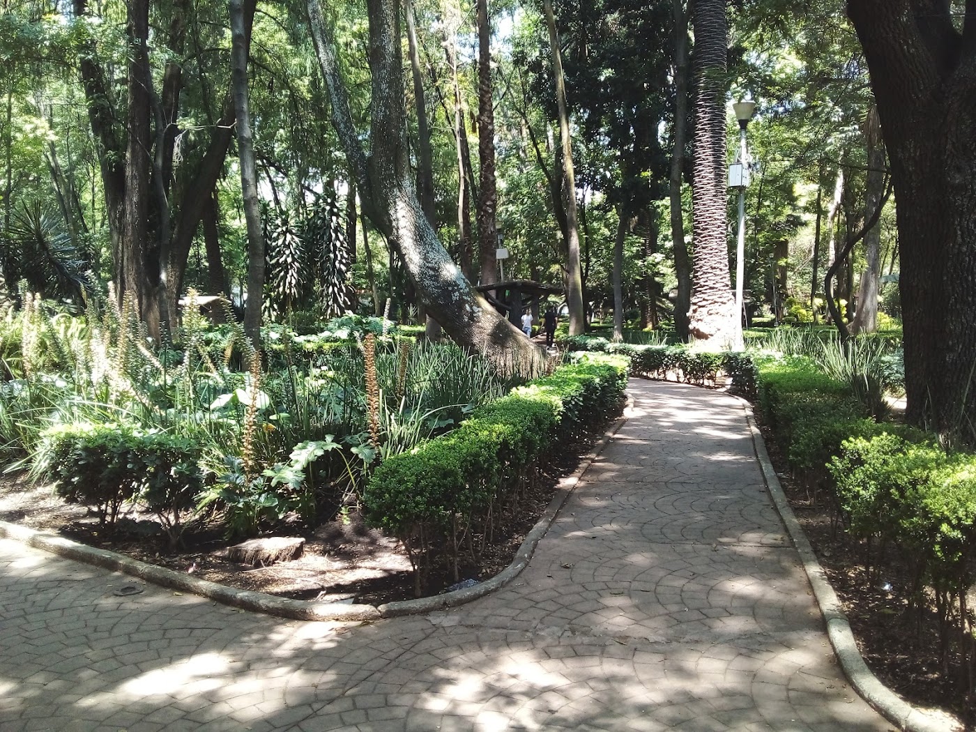 Roma y Condesa, Ciudad de México