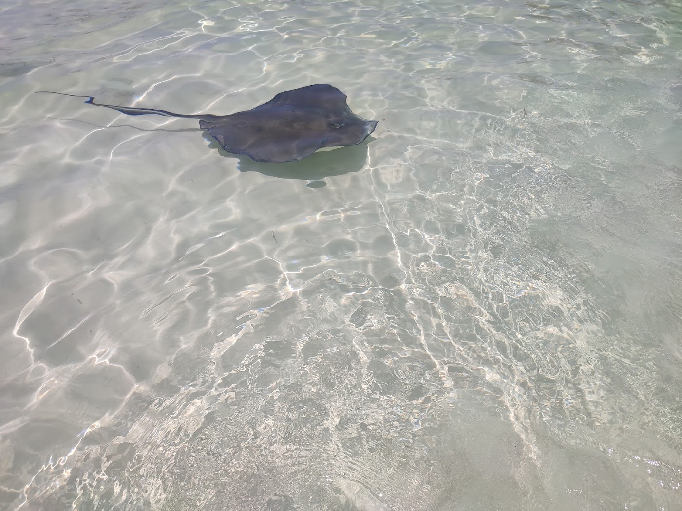 El Cielo, Cozumel
