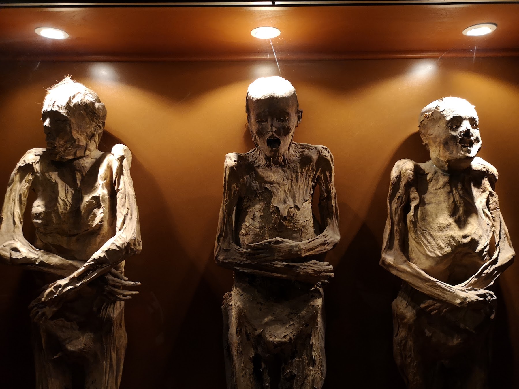 Museo de las Momias, Guanajuato