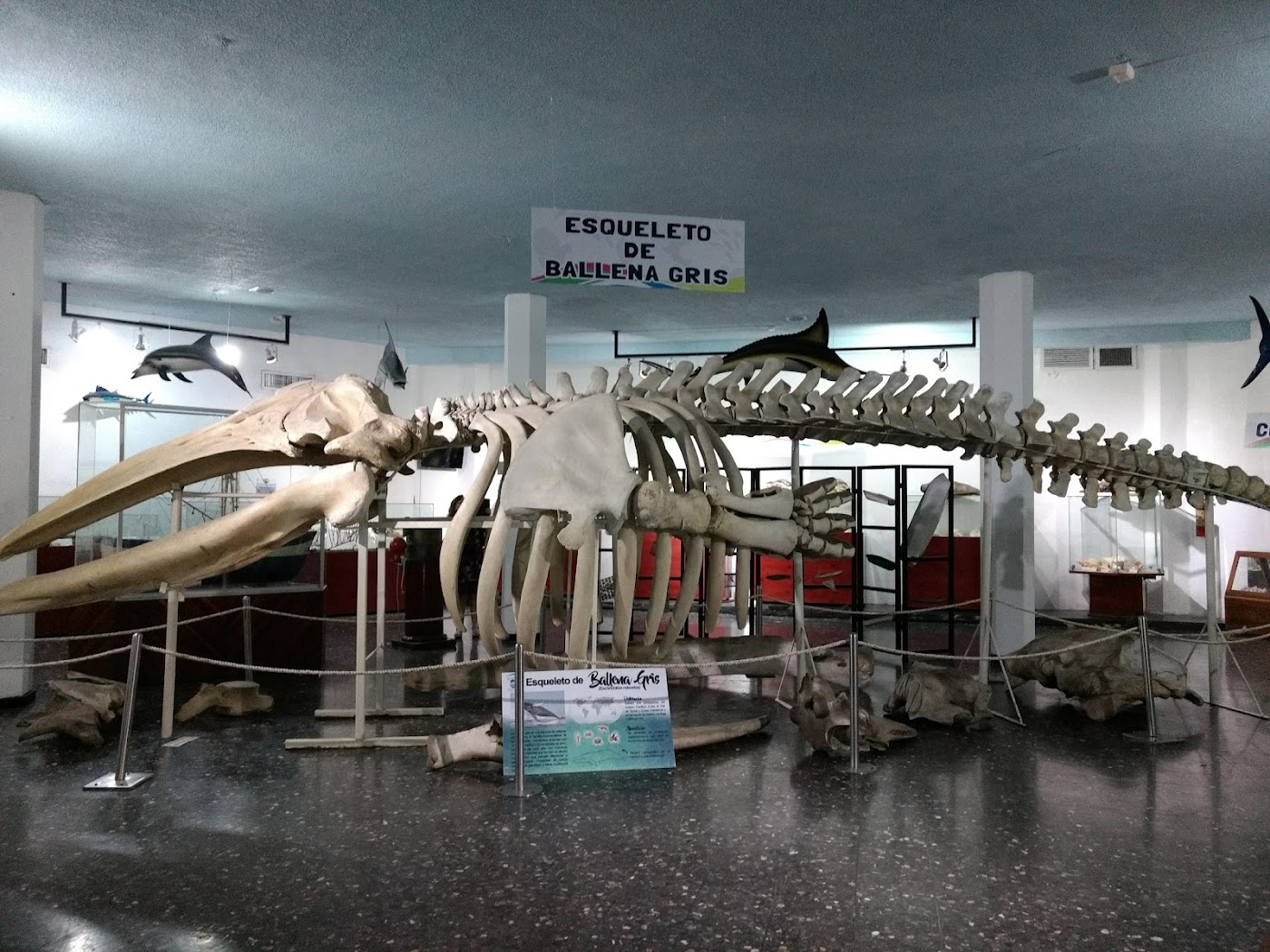 Gran Acuario Mar de Cortés, Mazatlán