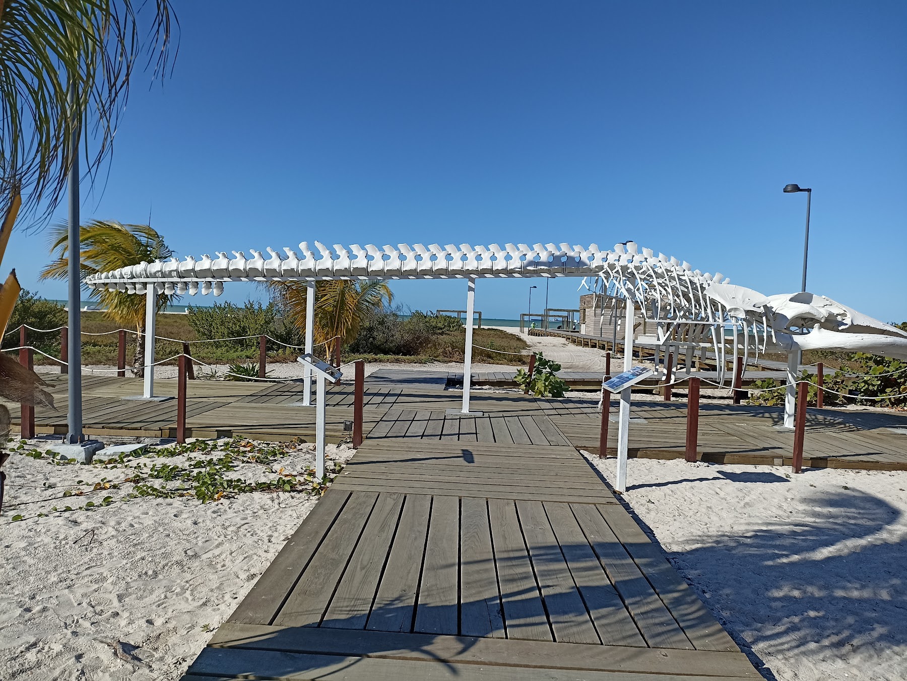 Progreso, Mérida