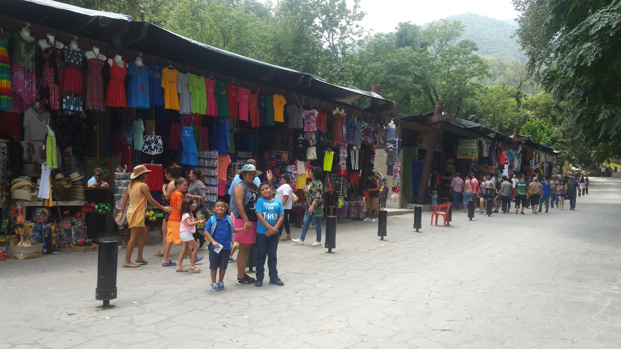 Cascada Cola de Caballo, Monterrey
