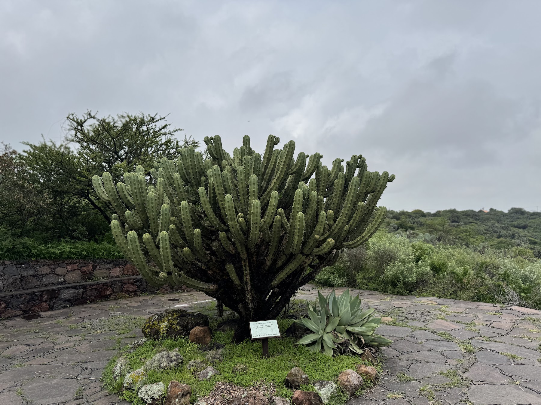 El Charco del Ingenio, San Miguel de Allende
