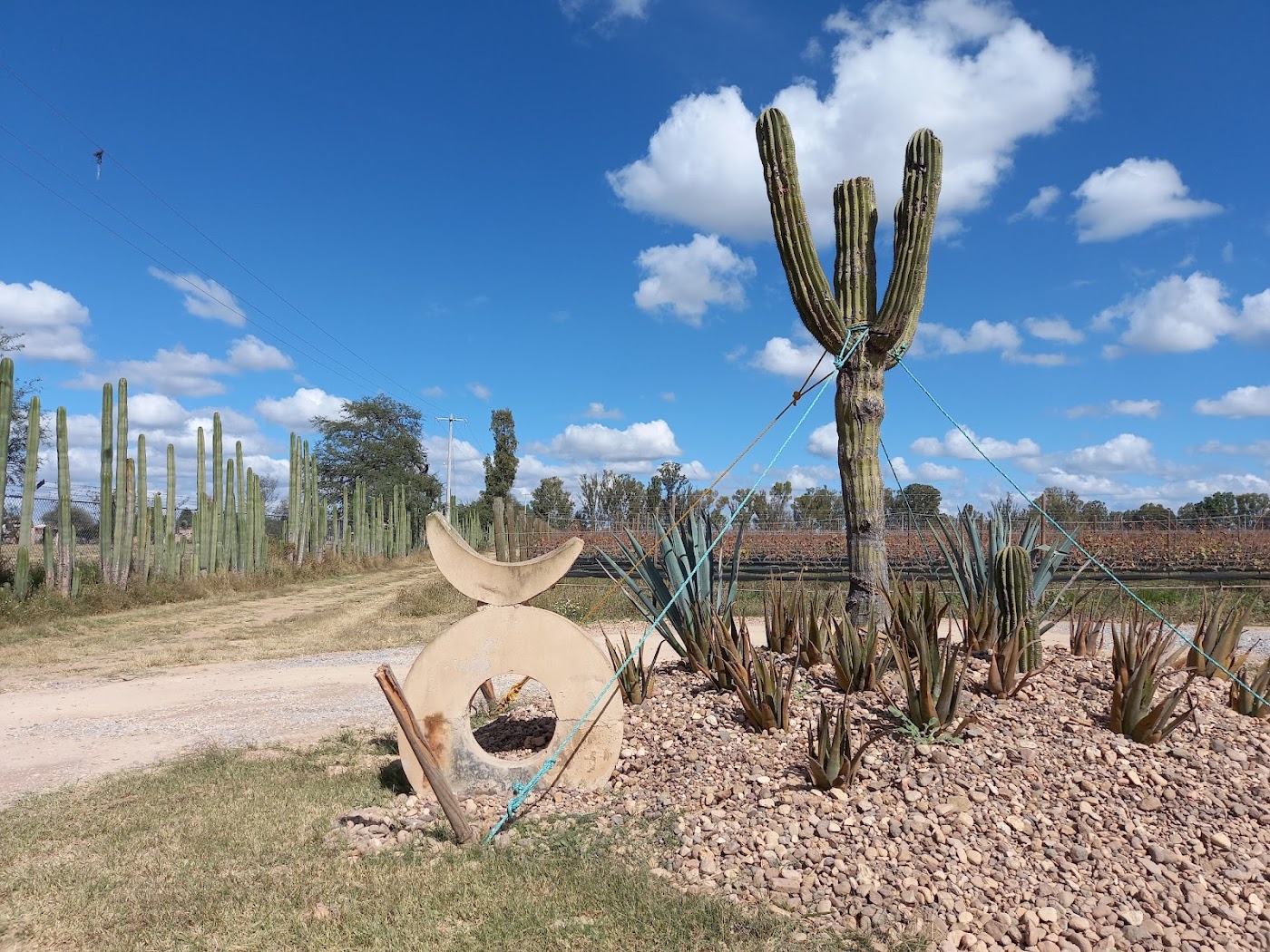 Ruta del vino (Cuna de Tierra y viñedos), San Miguel de Allende