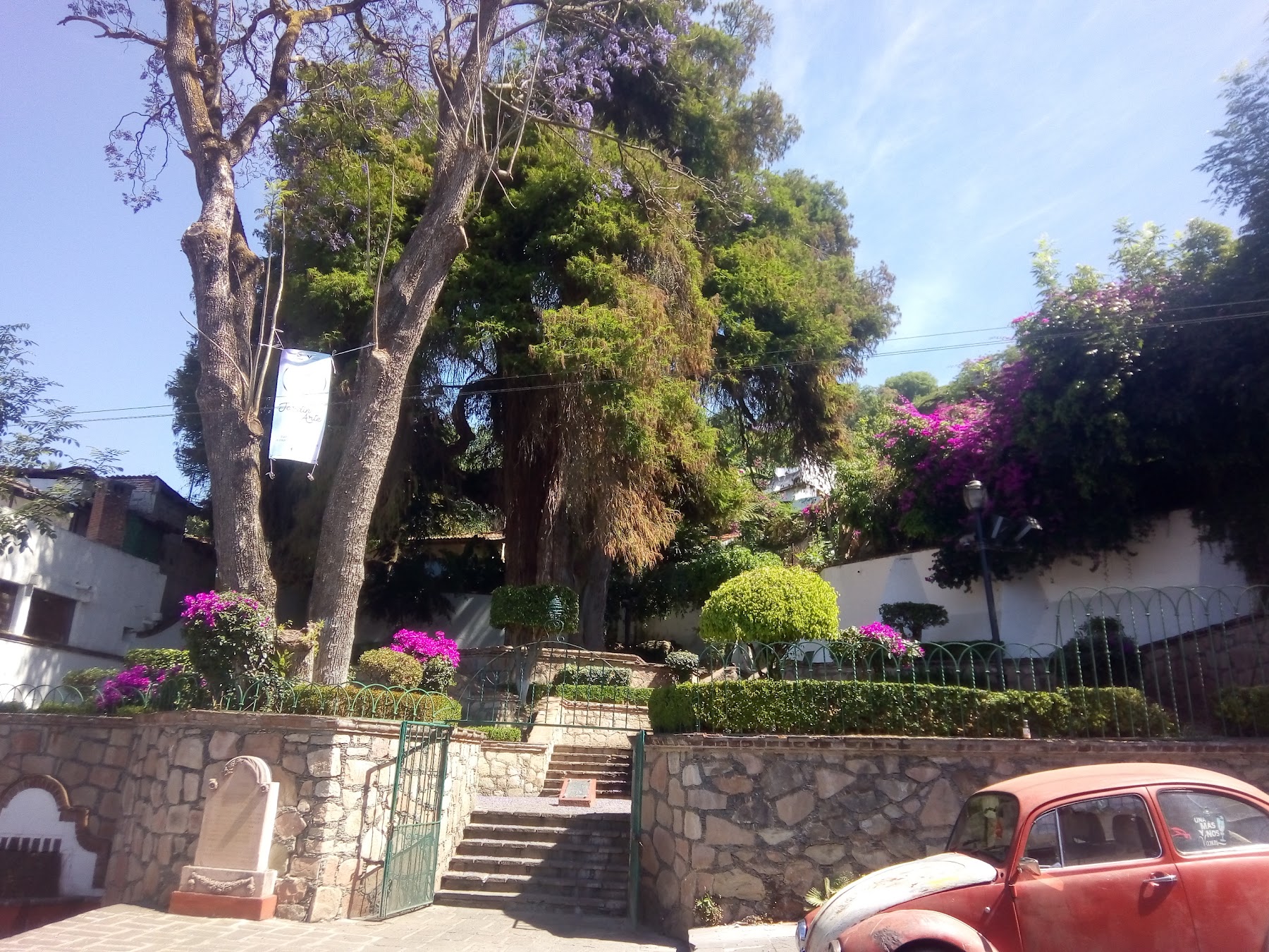 Parque Pino Suárez (Pino de la Fundación), Valle de Bravo